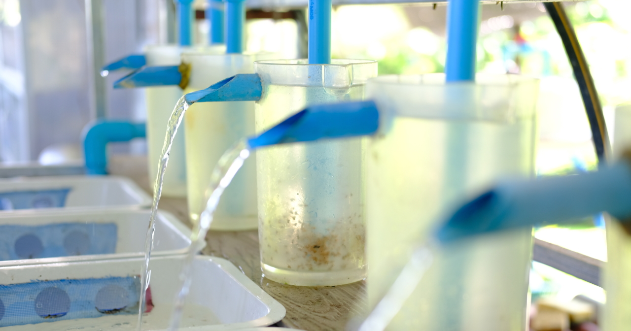Aquaculture 2