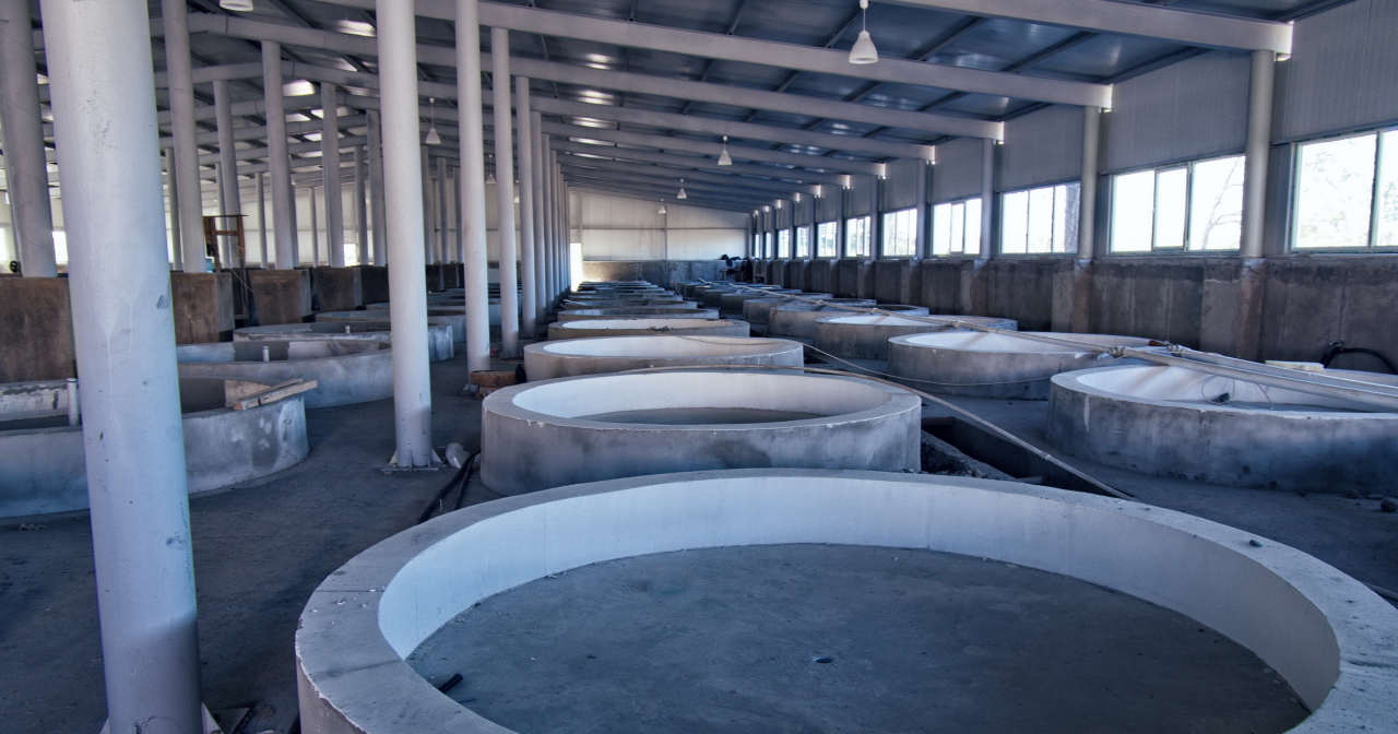 Aquaculture 1